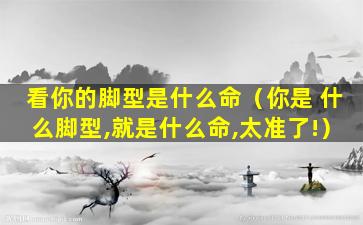 看你的脚型是什么命（你是 什么脚型,就是什么命,太准了!）